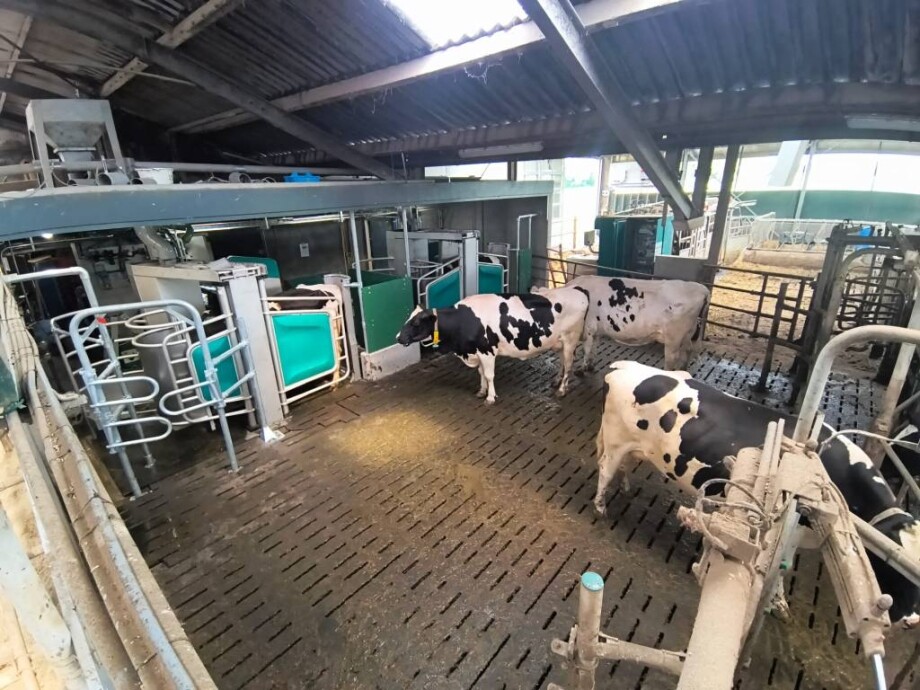 GEA DairyRobot R9500 - farmoniefarmtech 3
