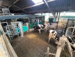 GEA DairyRobot R9500 - farmoniefarmtech 3
