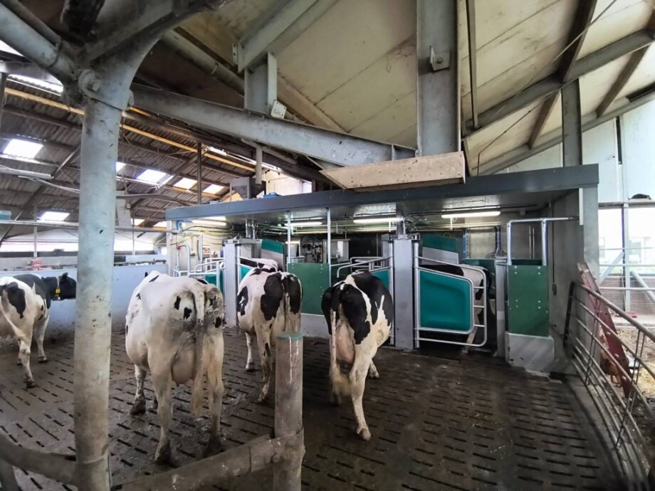 GEA DairyRobot R9500 - farmoniefarmtech 4