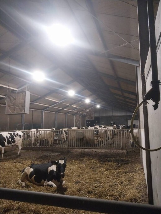 GEA DairyRobot R9500 - farmoniefarmtech 8 (1)