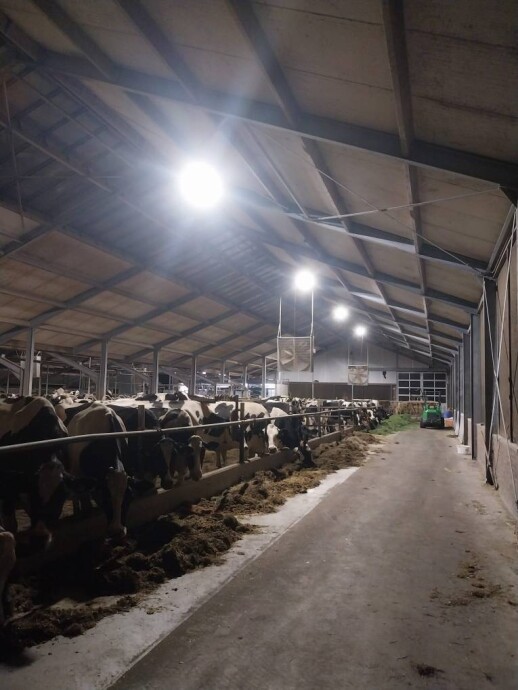 GEA DairyRobot R9500 - farmoniefarmtech 8 (2)