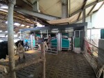 GEA DairyRobot R9500 - farmoniefarmtech 8 (3)