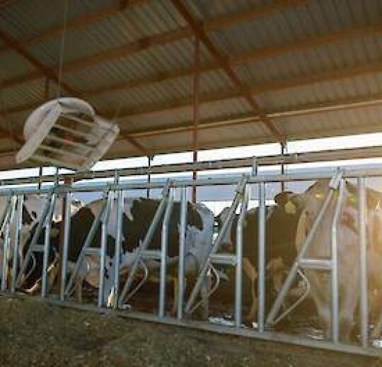 ves-artex_ecv_ventilator_-_photo3.-thumbnail