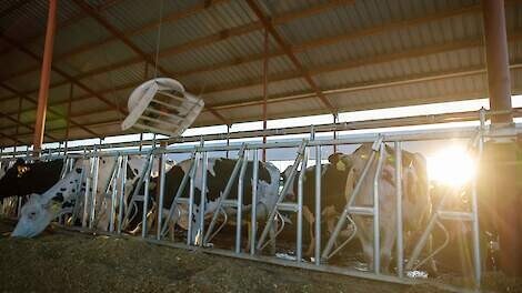 ves-artex_ecv_ventilator_-_photo3.-thumbnail