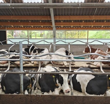 IMG-20230418-WA0005-1200x565