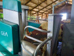 GEA-DairyRobot-familie-Storkhorst-1024x768