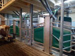 GEA-DairyRobot-in-stal-1024x768