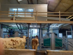 Koeien-voor-GEA-DairyRobot-1024x768