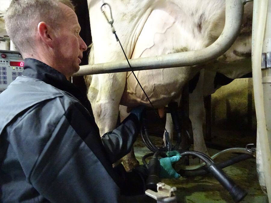IQ-interview-Blanckenborg-3