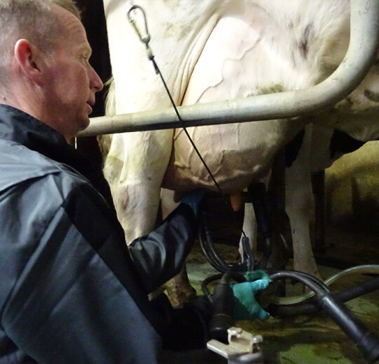 IQ-interview-Blanckenborg-3
