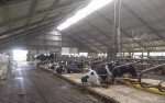dairyrobot-monobox-gea-2-600x375