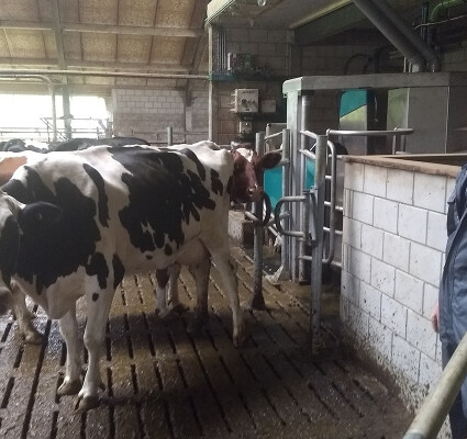 dairyrobot-monobox-gea-vd-lagemaat-1