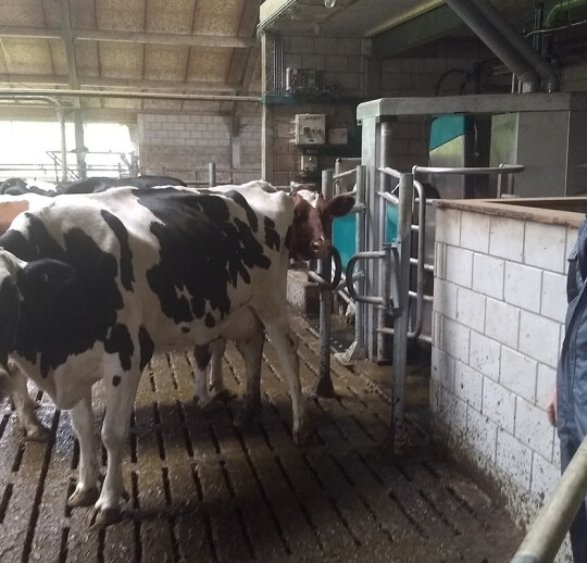 dairyrobot-monobox-gea-vd-lagemaat-1
