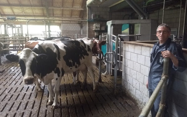 dairyrobot-monobox-gea-vd-lagemaat-1-600x375