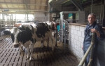 dairyrobot-monobox-gea-vd-lagemaat-1-600x375
