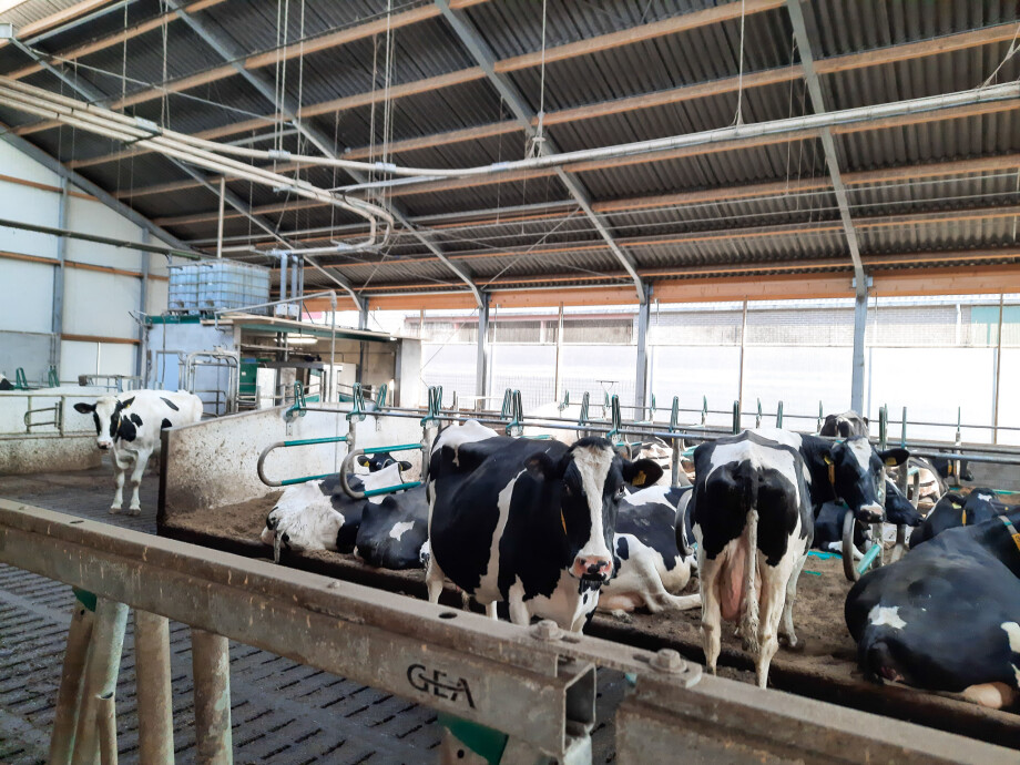 20220321-20220321_155422