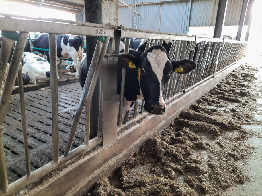 20220321-20220321_155428