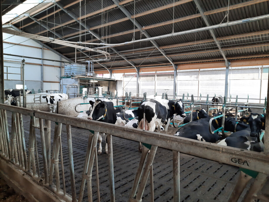 20220321-20220321_155439