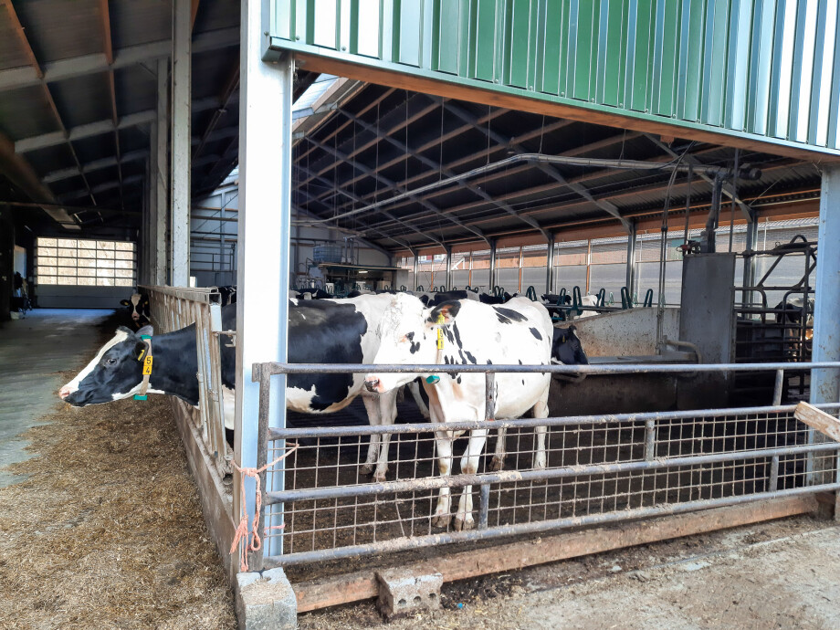 20220321-20220321_155602